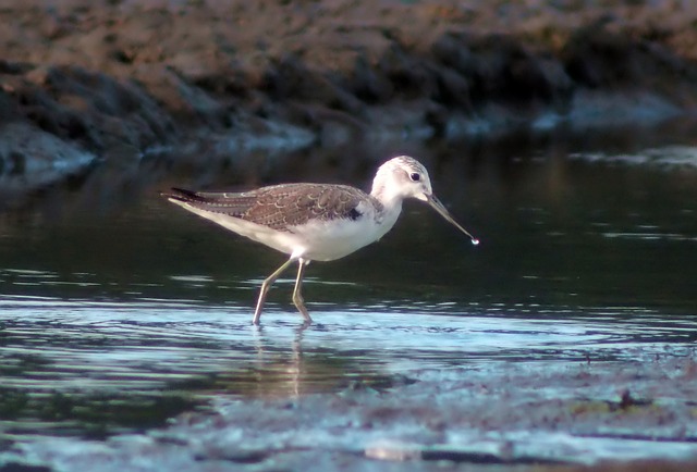 Co to jest cholewką? Co to jest cholewką?