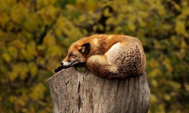 Po co nosić czerwona bransoletkę?