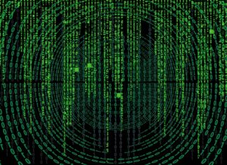 Skąd nazwa sikor na zegarek? Skąd nazwa sikor na zegarek?