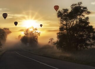 Czy w samolocie można mieć nerkę? Czy w samolocie można mieć nerkę?