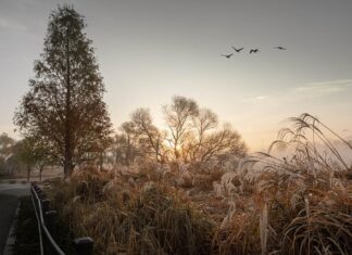 Ile daje się na wesele jako gość?