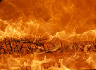 Która marka jest lepsza Wittchen czy Ochnik? Która marka jest lepsza Wittchen czy Ochnik?