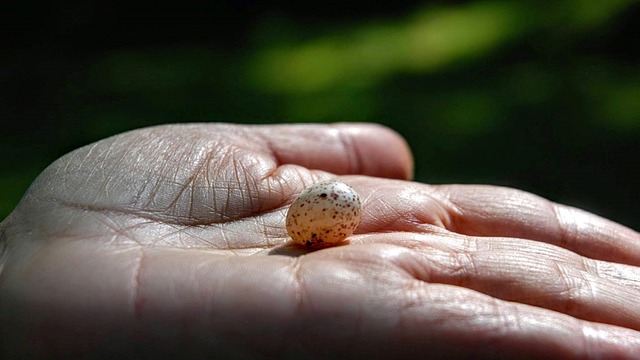 Kto nosi czerwona nitkę na nadgarstku? Kto nosi czerwona nitkę na nadgarstku?