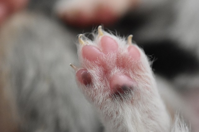 Dlaczego mam chude nadgarstki? Dlaczego mam chude nadgarstki?