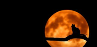 Co oznacza czarna bransoletka na prawej ręce?