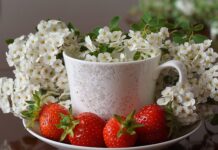 Ile za talerzyk 2024? Ile za talerzyk 2024?