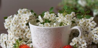 Ile talerzyk na wesele 2023?