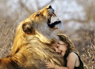 Jakie majtki na duży brzuch?