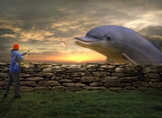 Czy żyłka jubilerska się rozciąga? Czy żyłka jubilerska się rozciąga?