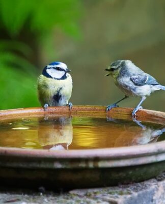 Jak się mówi brelok czy brelok?