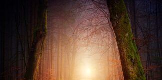 Czy można dużo chodzić w ciąży?