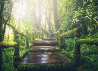 Ile kosztuje zrobienie girlandy z balonów? Ile kosztuje zrobienie girlandy z balonów?