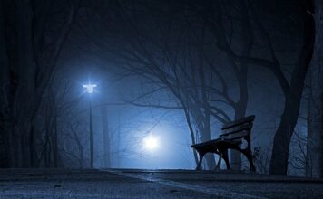 Jakie są polskie marki butów?