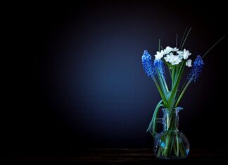 Jak sprawdzić ile waży walizka? Jak sprawdzić ile waży walizka?